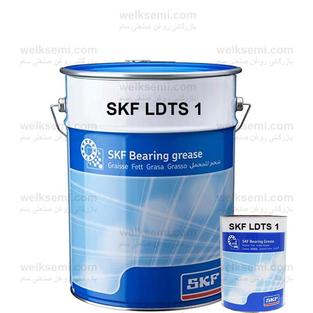 SKF LDTS 1